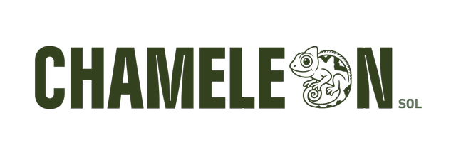 Chameleon Solutions - Virtual Assistant Agency